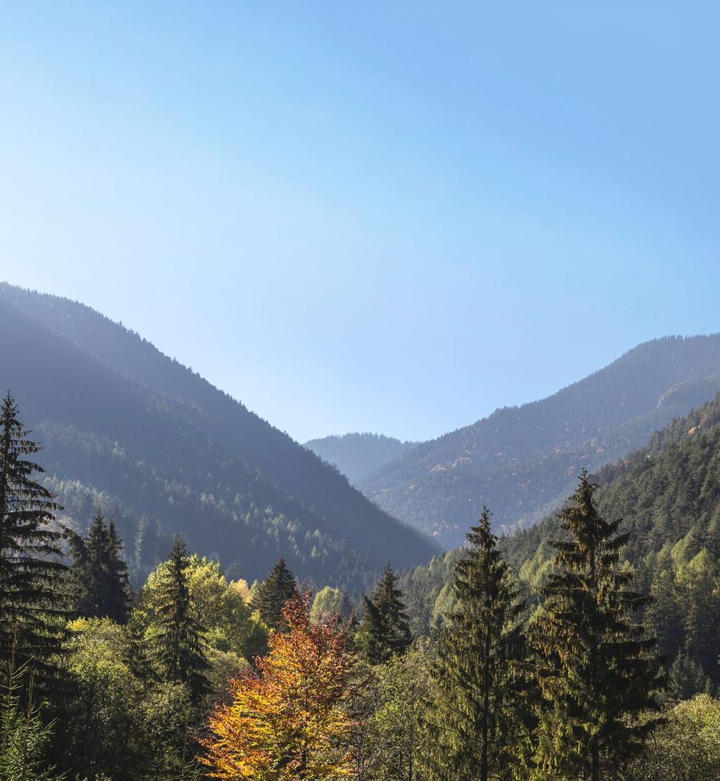 Inbjudan till teckning av aktier i Phoenix BioPower AB (publ) Teckningsperiod 2019-10-14 2019-10-28 HÖGEFFEKTIV BIOKRAFT FÖRNYBART Restprodukter från skogen och jordbruket används som bränsle och