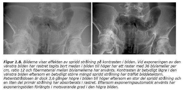 Rasteranvändning 75