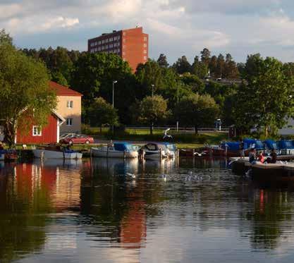 INNEHÅLLSFÖRTECKNING INLEDNING SAMVERKANSORGANISATIONEN FINANSIERING VISIONSBILD SAMVERKAN KUNSKAP, KOMMUNIKATION OCH OMVÄRLD