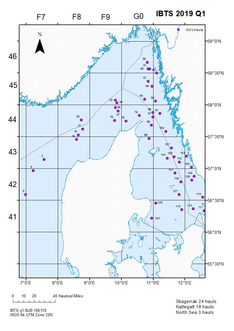 Resultat Bottentrålning med GOV-trål Under IBTS kvartal 1 2019 genomfördes totalt 45 godkända tråldrag med GOV-trål i hela området: 3 i Nordsjön, 24
