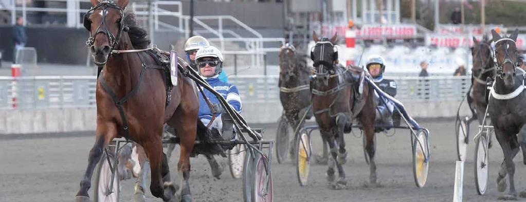 TIPS Av Solvalla Lopp 6 analysen.