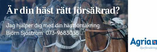 KUSK-/RYTTARSTATISTIK per fredag den 9 augusti Kör/rider i lopp Bana 09 % tkr 08 % Andersson, Tjelvar a, VI 7-0- 0-- 0 Axelsson, Anna a 9 VI 0-0-0 0 0-0-0 0 Björk, Jenny A lä G 0-7- 99 0-9- 8 Blixt,