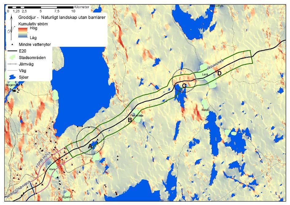 7.14.3 Hova-Laxå: Naturligt landskap - groddjur Vägen går huvudsakligen genom skogsmark och antalet småvatten är begränsat. Flöde är identifierade vid några områden.