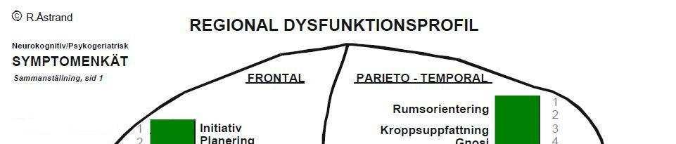 Primär progressiv icke-flytande afasi (PNFA) Ingen distinkt debut. Smygande förlopp med tilltagande expressiv dysfasi.