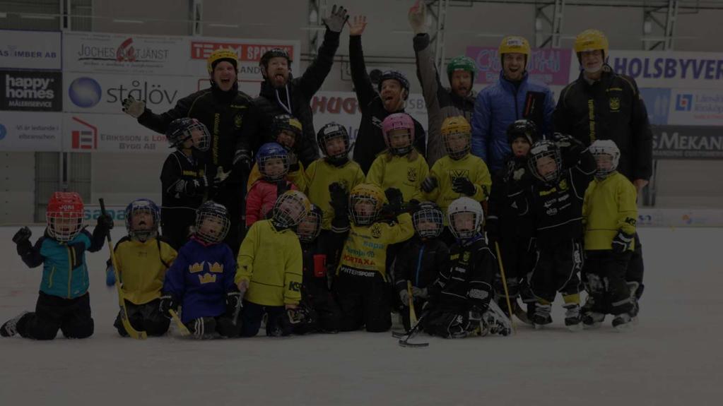 Att utöva och uppleva Vetlanda Bandyklubbs verksamhet kretsar kring bandy och ger människor en möjlighet att både utöva och uppleva en av de mest klassiska vinteraktiviteterna i Sverige.