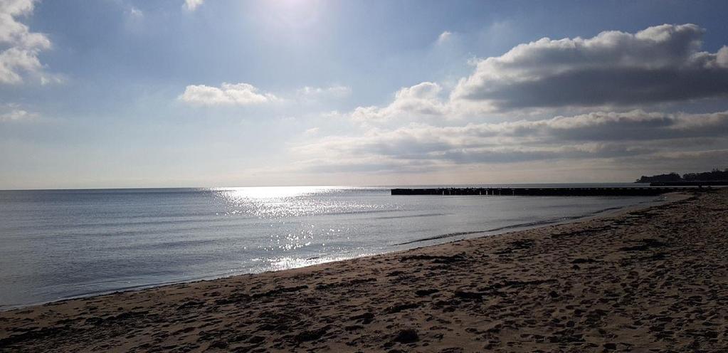 Strandvandring Samling på parkeringen vid Skillinge idrottsplats. Vi går sedan ovanför strandkanten på naturväg/stigar till stugan i Kyhl. Denna sträcka är tillgänglig för rullstolar.