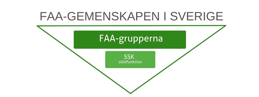 STRUKTUR FÖR FAA SVERIGE Strukturen för FAA-gemenskapen i Sverige består av medlemmarna i FAA-grupperna, som är styrande och Sveriges Service kommitté (SSK) som är en servicefunktion.