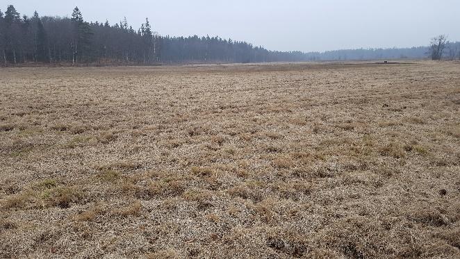 Samarbetspartners har varit Hegeå Model Forest, Kristianstads vattenrike och Osby kommun.