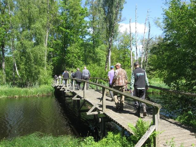 Vattenrådet har varit engagerade i den invasiva arten skunkkalla i Vedema tillsammans med Naturvårdsverket, Artdatabanken och Tina Kyrkander.