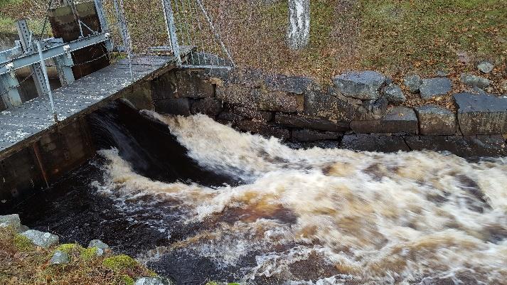 Exkursion ädellöv Turism i Helgeå Sekreteraren medverkar i ett projekt tillsammans med SGU om sanering av en kemtvätt som förorenat sediment i Helgeå (MIFO) klass 1.