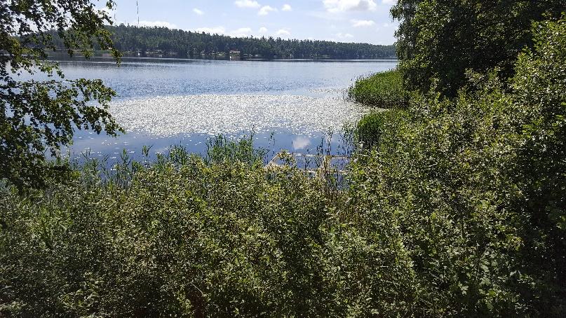 Sekreteraren har deltagit i ett antal årsmöten i olika FVO som föreläsare och därmed gjort reklam för föreningen.