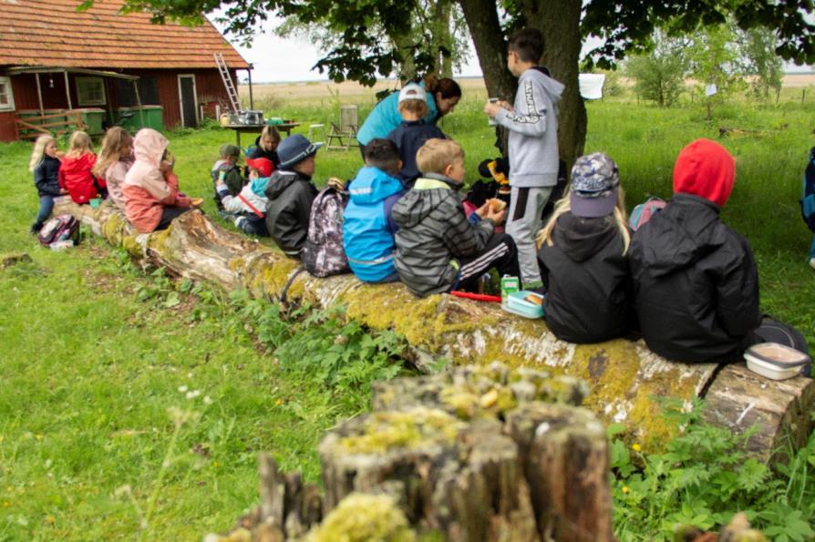 I förskolan och skolan ska måltiden ses som pedagogiskt redskap och en del av i förskolans och