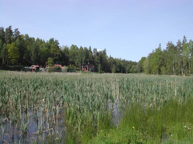 Stene, april 2005, innan försöken startade. Svarttorp, är cirka 2,4 hektar och anlades 2002. Här består det mesta av tillrinningsområdet av skogsmark.