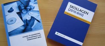 Elever som till följd av en funktionsnedsättning har svårt att uppfylla de olika kunskapskrav eller kravnivåer som finns
