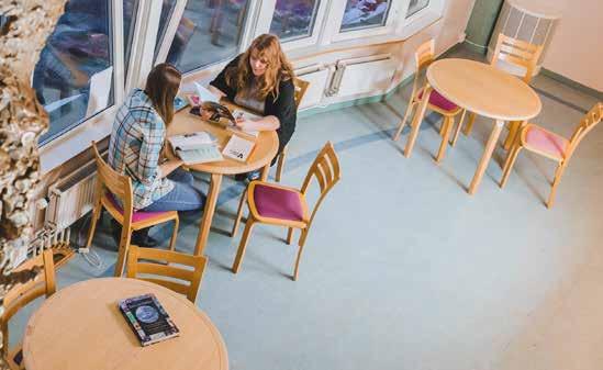 Elever på Bygg- och anläggningsprogrammet, Fordonsoch transportprogrammet, Handels- och administrationsprogrammet samt Restaurang- och