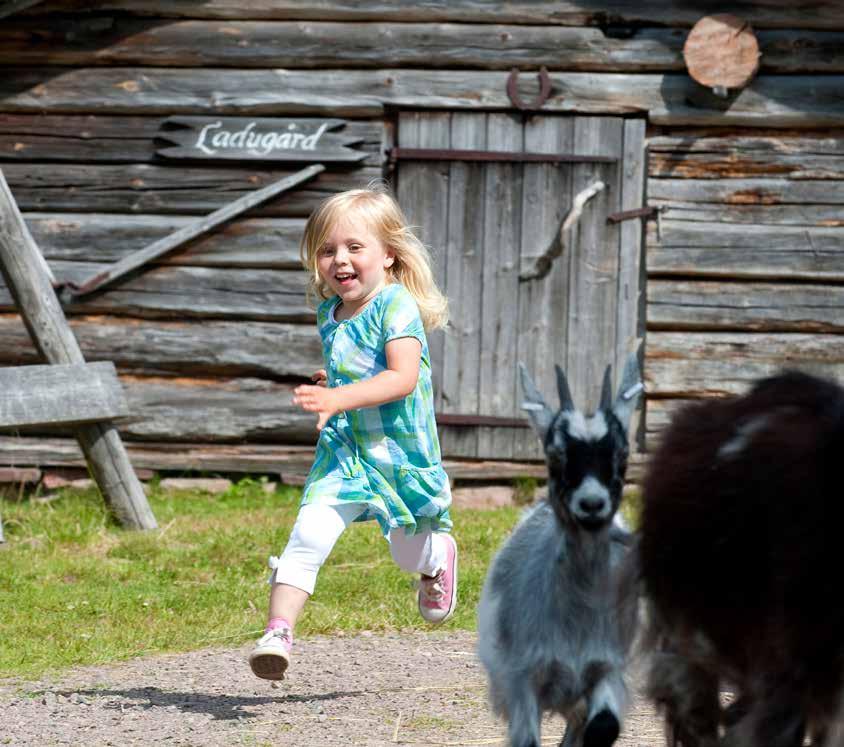 Från toppen har du en fantastisk utsikt och möjligheter till fina