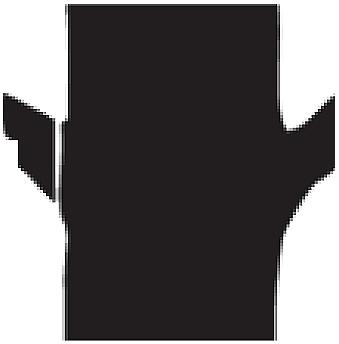 This means that the branch does not fold when it cut from above outside the initial cut.