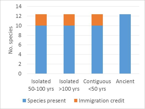Skogslevande jordlöpare: immigration credit reduceras snabbt i nya lövplanteringar Stora vinglösa arter med bättre spridning