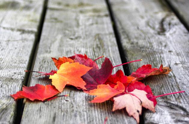 Program Oktober Måndag Modevisning 7 oktober kl. 14.30 Kom och ta del av höstens mode från Seniorshop. Vi håller till i restaurangen. Rummy 14 och 28 oktober kl.