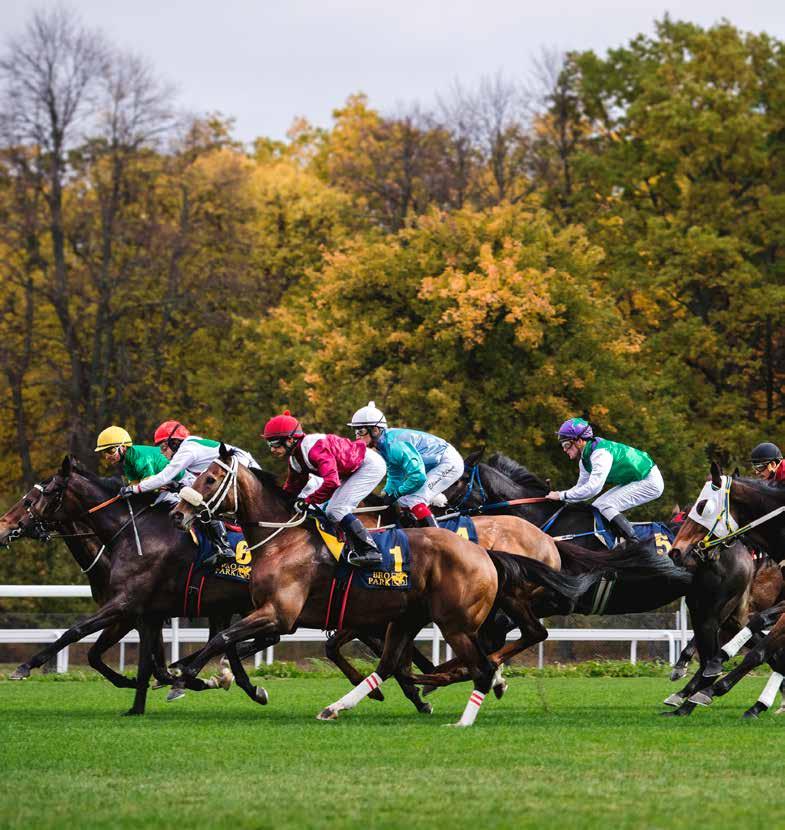 Dagens program 11.00 Grindarna öppnas 11.45 Kvallöpning 12.00 Tipsgenomgång från ledvolten 12.15 Lopp 1 MAIDENLÖPNING 12.45 Lopp 2, V64-1 HÖSTFINAL SPRINT 13.09 Lopp 3, V64-2 HÖSTFINAL MILE 13.