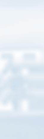 Immobilien AG