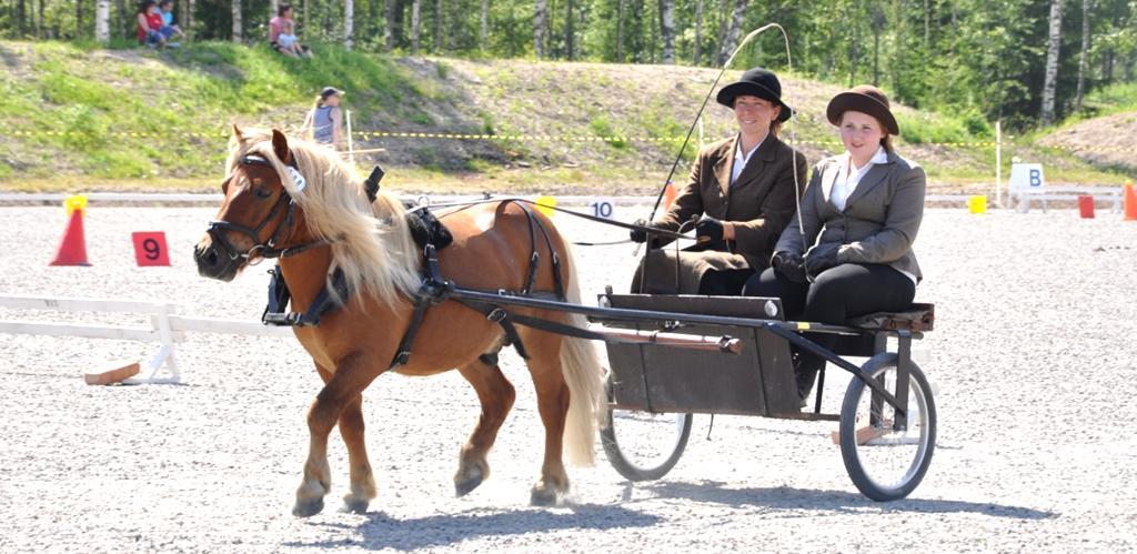 Dumbledore med kusken Helena