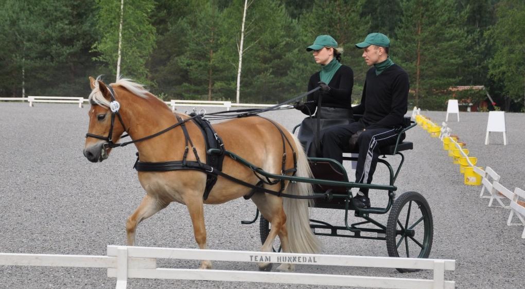 Som vanligt var det en tävling med två moment dressyr och precision.