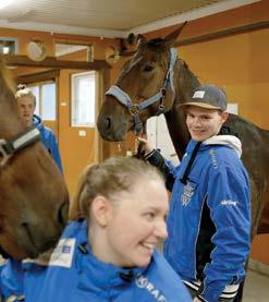 Läs in gymnasiet på Allmän kurs häst. Genom distansstudier får du allmän behörighet till högskolan och på Wången förbereder du dig inför hästskötarexamen.