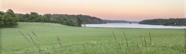 Vällagad mat och tilltalande måltider i en inbjudande miljö är viktigt för Gnestabor i alla åldrar.