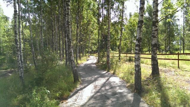 anläggs Staket sätts upp