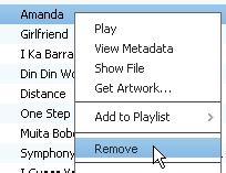 1 I Bibliotek > Musik 2 View Metadata» En metadatatabell visas där du kan redigera informationen.