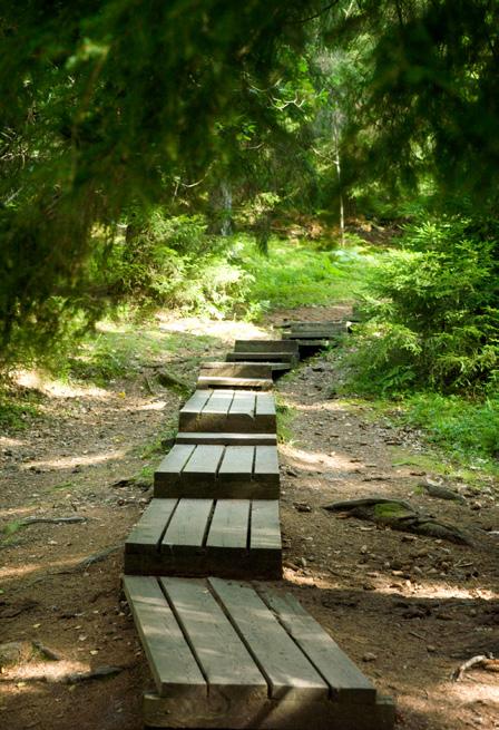 Haninge har 21 naturreservat. I Haninge ligger också Tyresta nationalpark som är Södermanlands enda nationalpark.