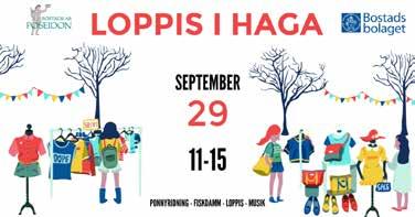 Den flygande mattan anlände den 16 september och skall vara på torget fram till 28 september. Under invigningen den 17 september bjöds det på ett digert program.