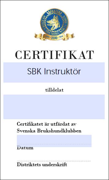 Deltagaren ska även: 4 Ha en väl grundläggande kunskap om SBK som organisation och dess policys. Kunna upprätta en kurs-/lektionsplan för nybörjare/fortsättning samt avancerad/mästare.
