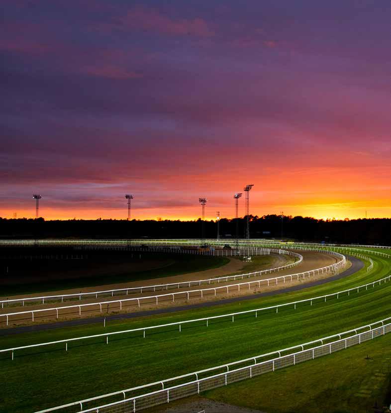 Kvällens program 16.00 Grindarna öppnas 16.40 Kvallöpning 1 17.00 Kvallöpning 2 17.15 Tipsgenomgång från ledvolten 17.30 Lopp 1 MAIDENLÖPNING 17.53 Lopp 2, V5-1 BRONSHANDICAP 18.