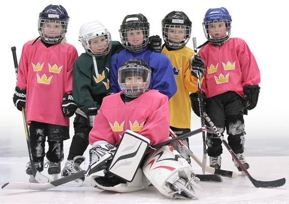 PROJEKT SPELFORMER Spelarutveckling SPELARUTVECKLING I CENTRUM För barnens bästa Projekt Nollvision REGELVERK - Ytor - Regler - Domare/Matchledning