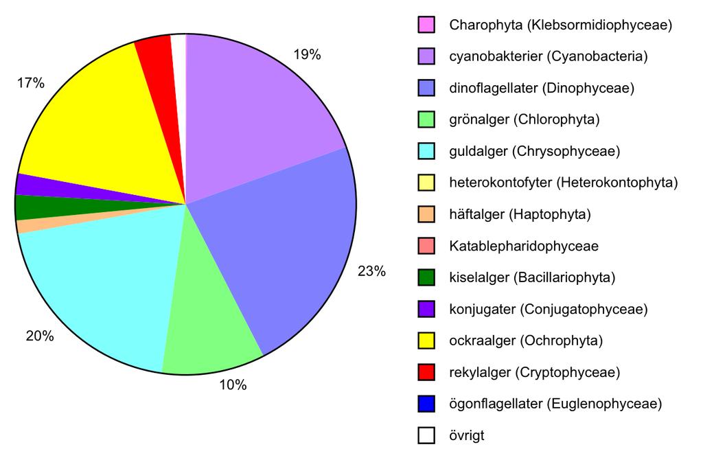 mätt som klorofyll a, varit liten under hela den undersökta perioden 2003-2017, se figur 33 och 34.