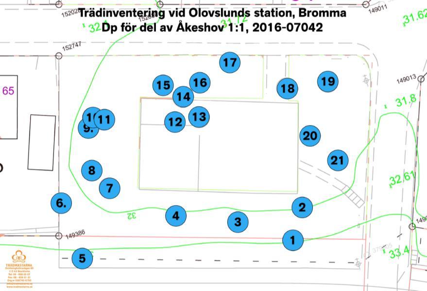 Sida 31 (41) Kartbild över trädinventering. (Källa: Trädmästarna).