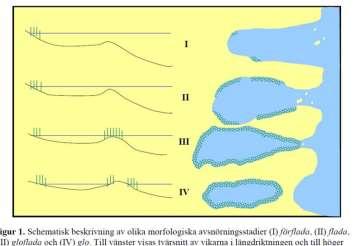 Underlag Sverige Finland Ortofoton Ortofoton N2000 Lagun skikt (2004) N2000 Coastal lagoons polygons 2013 2 m DEM (<1,3 m höjd från