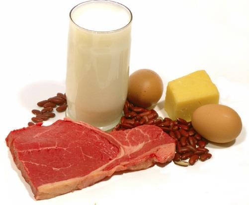 Sammanfattning Energi PROTEIN