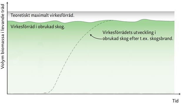 Därefter är den ett klimatneutralt kollager.