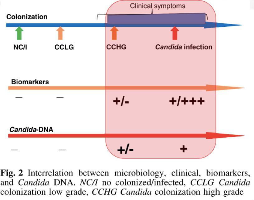 Kolonisation vs infektion Montravers P et al.