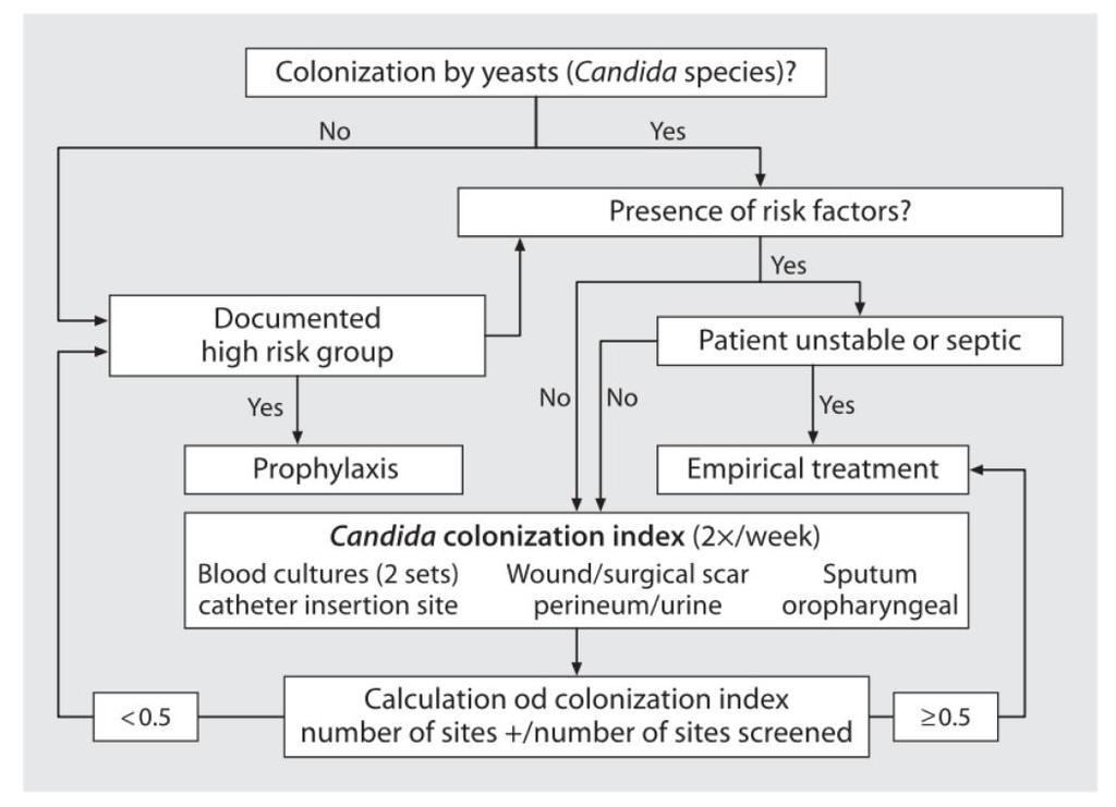 Candida colonization index