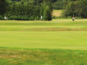 Golfbanor (forts) Insekter: Preparat/dos per ha Behandlingstidpunkt Övrig information Harkrank och 3 kg/1000 m 2 Merit Turf Direkt efter insekternas Bevattna efter med larver av trädgårds svärmning