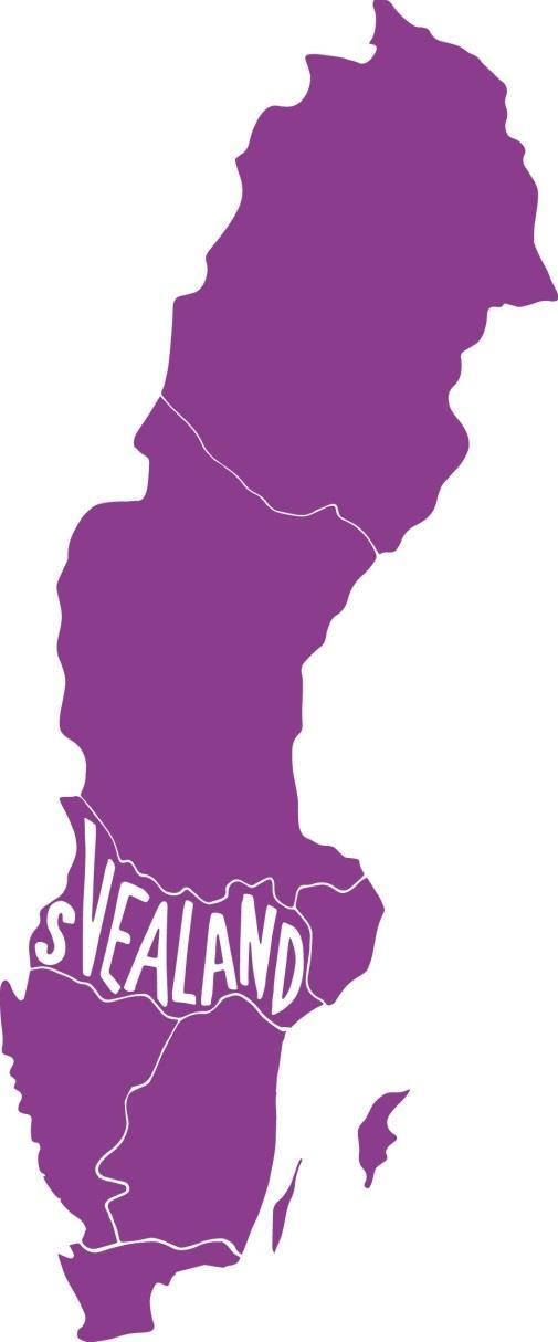 Equmenia Svealand Regionstämma 2019