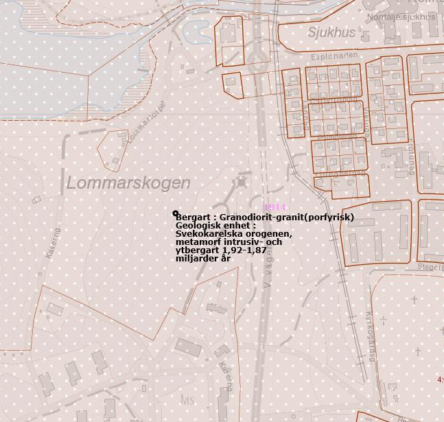 1.1 Geologisk beskrivning av området Enligt SGUs (Sveriges Geologiska Undersökning) regionala berggrundskartor så ligger berggrunden vid Lommarstranden inom ett område med porfyrisk granodiorit eller