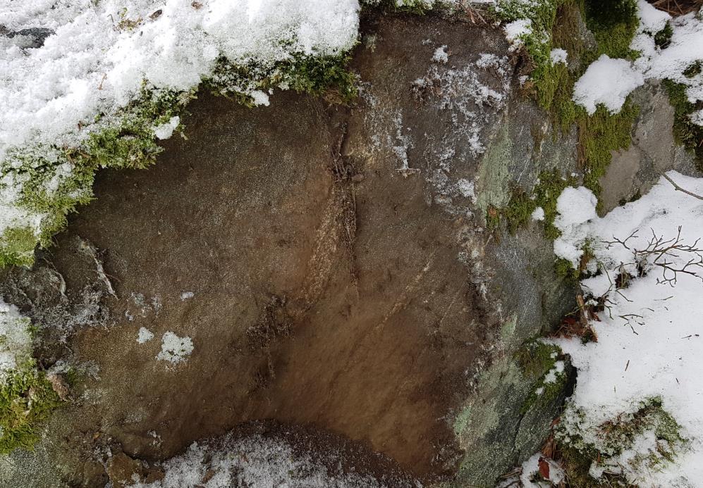 Vid tidpunkten för provtagningen var det minus 14 grader och det fanns mycket snö i området varför relativt