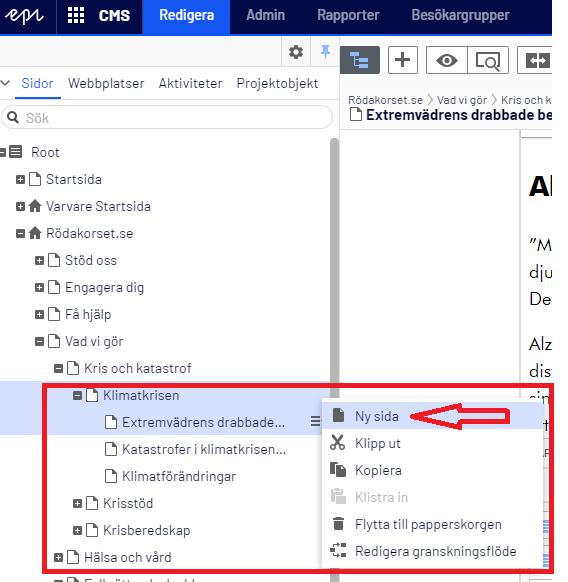 Skapa en ny sida Tänk på att! Om det finns innehåll om samma ämne på annan plats på sajten, fundera på om den sidan ska uppdateras eller om ny sida ska skapas.