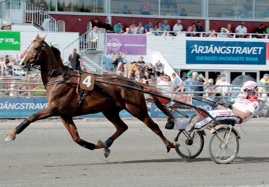 lorette e Rusch Blomlie M / / Uppf: Ivarsson Mattias, killingary Hammarström J 9/ / Äg: Normarkens Travsällskap, jäng Mattsson 9/ 9m / Blå, gul stjärna; blå ein M / / ria övgren (anra varsson) ein M