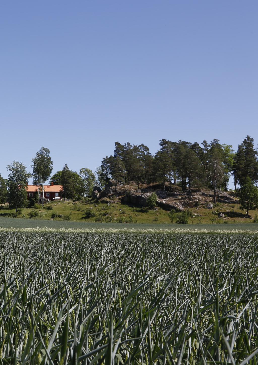 6 LITEN UPPHANDLINGSSKOLA LITEN UPPHANDLINGSSKOLA 7 Att veta vad du ska kräva Vad kan du kräva?